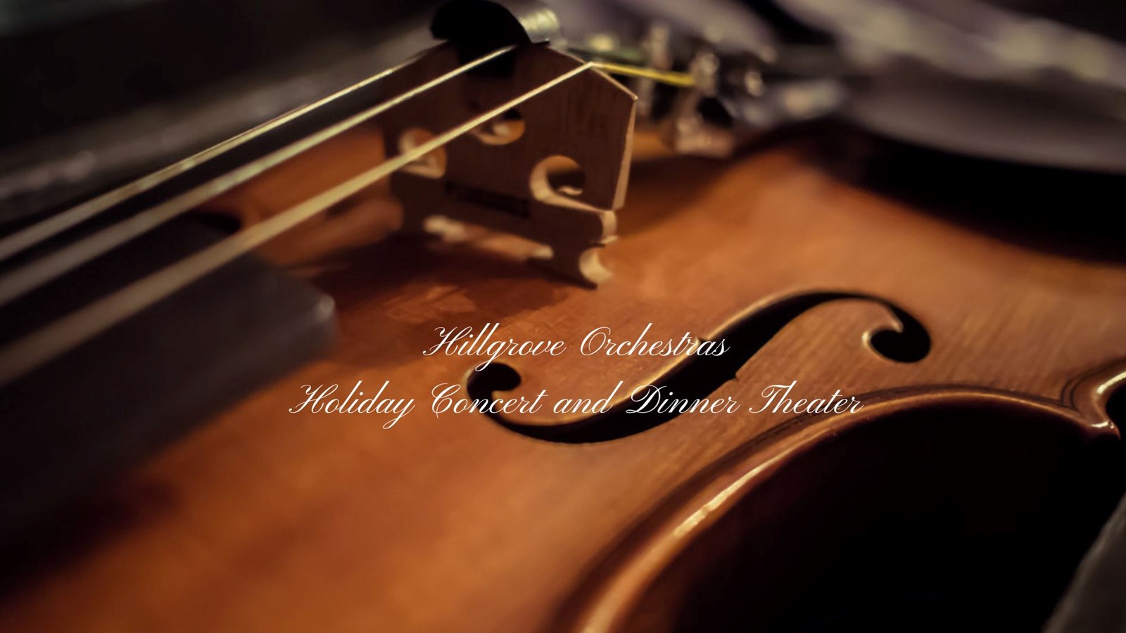 Hillgrove Orchestras Holiday Concert and Dinner Theater
